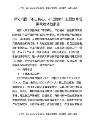 深化巩固“不忘初心、牢记使命”主题教育成果政治体检报告