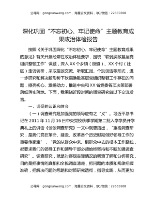 深化巩固“不忘初心、牢记使命”主题教育成果政治体检报告（2）