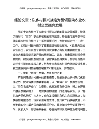 经验文章：以乡村振兴战略为引领推动农业农村全面振兴发展