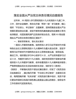 落实全面从严治党主体责任情况自查报告
