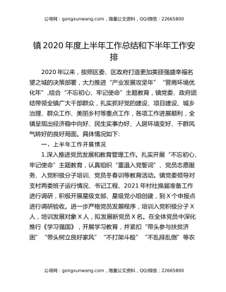 镇2020年度上半年工作总结和下半年工作安排