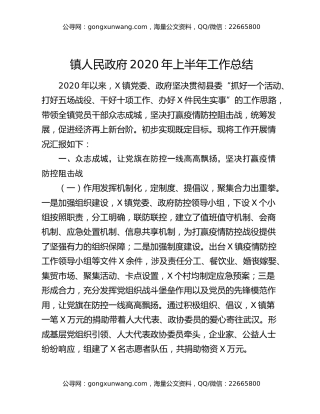 镇人民政府2020年上半年工作总结