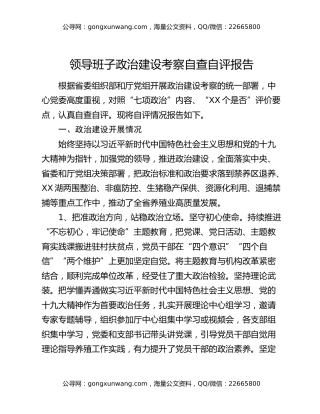 领导班子政治建设考察自查自评报告