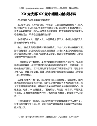 XX党支部XX党小组组内检视材料