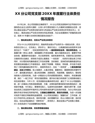 XX分公司党支部20XX年度履行主体责任情况报告