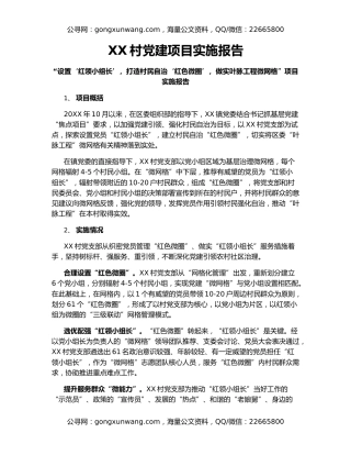 XX村党建项目实施报告