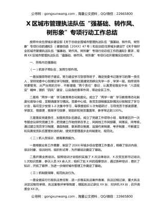 X区城市管理执法队伍“强基础、转作风、树形象”专项行动工作总结