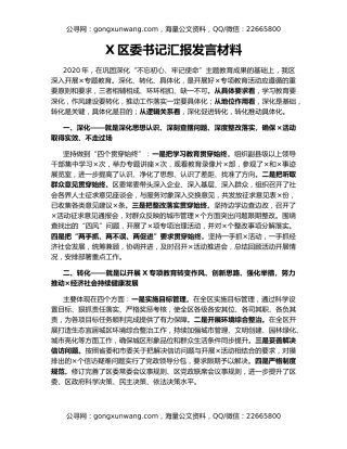 X区委书记汇报发言材料
