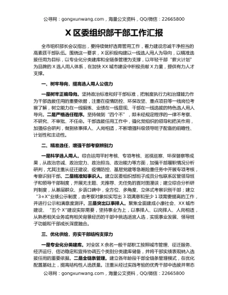 X区委组织部干部工作汇报