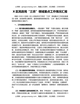 X区民政局“三农”领域重点工作情况汇报