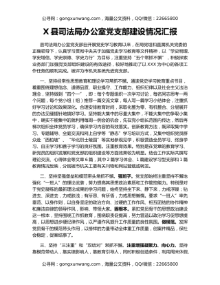 X县司法局办公室党支部建设情况汇报