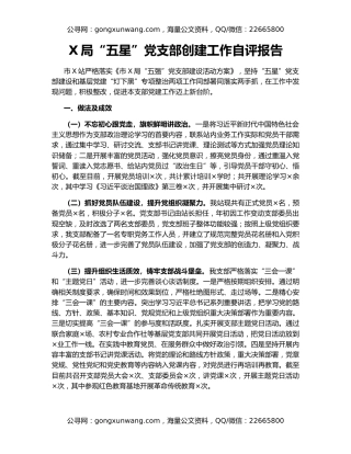 X局“五星”党支部创建工作自评报告