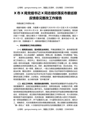 X市X局党组书记X同志组织落实市委巡察反馈意见整改工作报告