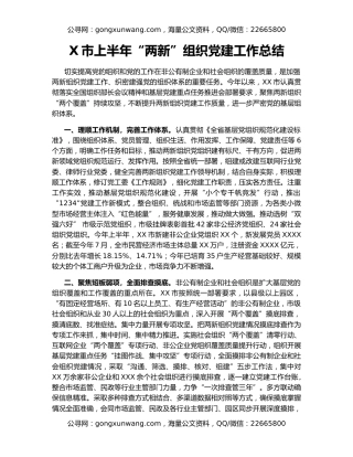 X市上半年“两新”组织党建工作总结