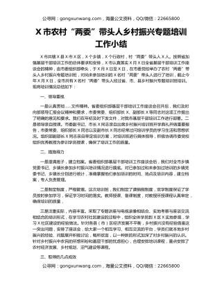 X市农村“两委”带头人乡村振兴专题培训工作小结