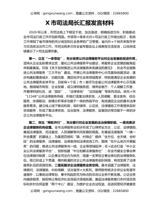 X市司法局长汇报发言材料