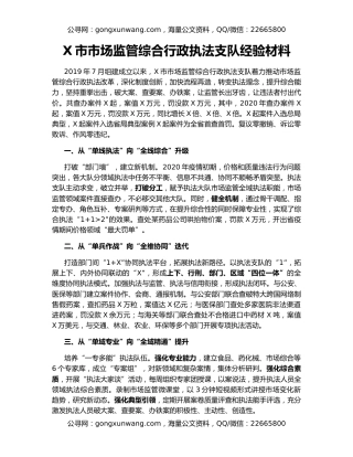 X市市场监管综合行政执法支队经验材料
