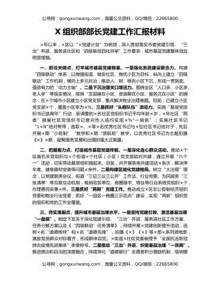 X组织部部长党建工作汇报材料