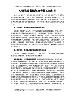 X镇党委书记年度考核实绩材料