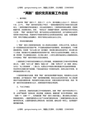 “两新”组织党员发展工作总结