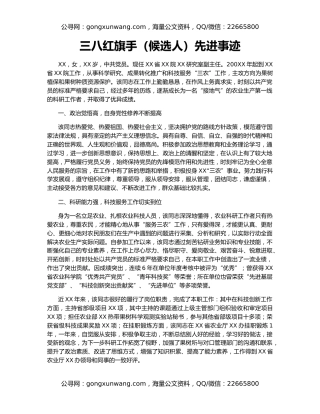 三八红旗手（候选人）先进事迹