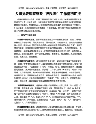 乡镇党委巡察整改“回头看”工作情况汇报