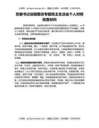 党委书记巡视整改专题民主生活会个人对照检查材料