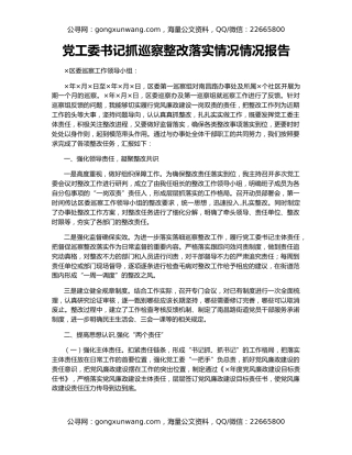 党工委书记抓巡察整改落实情况情况报告