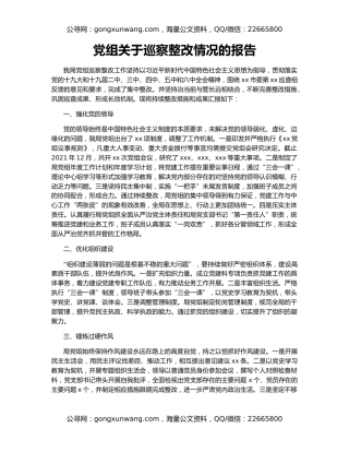 党组关于巡察整改情况的报告
