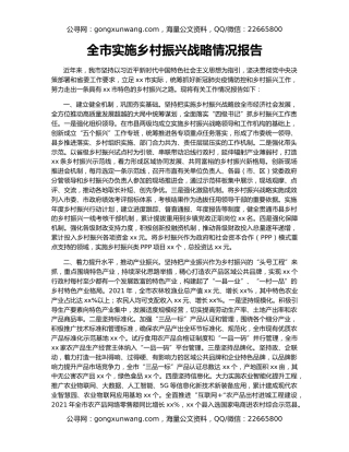 全市实施乡村振兴战略情况报告