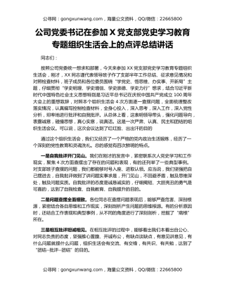 公司党委书记在参加X党支部党史学习教育专题组织生活会上的点评总结讲话
