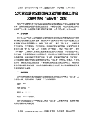 公司贯彻落实全国国有企业党的建设工作会议精神情况“回头看”方案