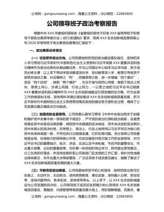 公司领导班子政治考察报告