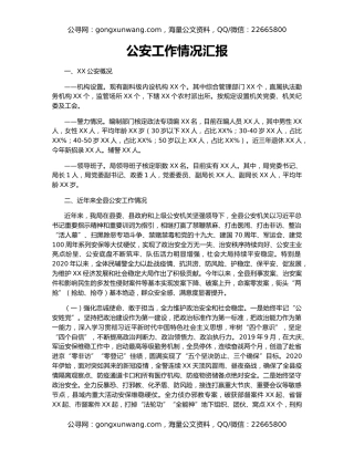 公安工作情况汇报