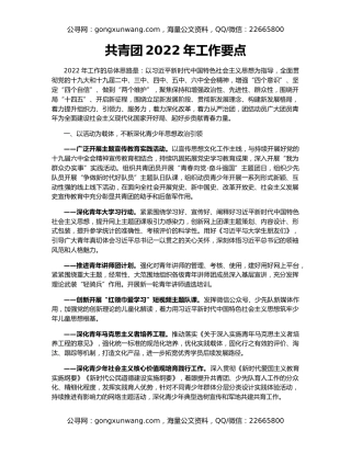 共青团2022年工作要点