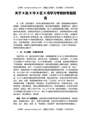 关于X赴X市X区X湾学习考察的专题报告