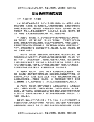 副县长任前表态发言