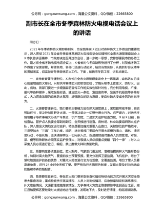 副市长在全市冬季森林防火电视电话会议上的讲话
