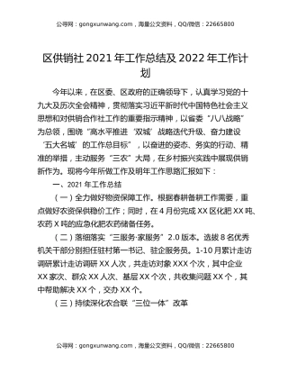 区供销社2021年工作总结及2022年工作计划
