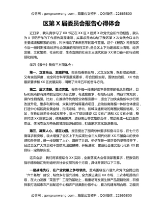 区第X届委员会报告心得体会