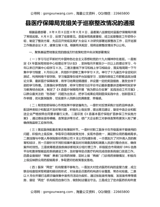 县医疗保障局党组关于巡察整改情况的通报