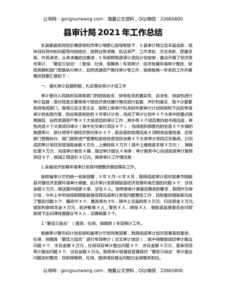 县审计局2021年工作总结