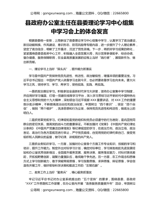 县政府办公室主任在县委理论学习中心组集中学习会上的体会发言