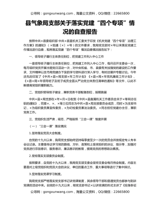 县气象局支部关于落实党建“四个专项”情况的自查报告