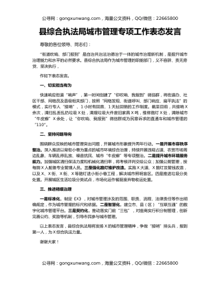 县综合执法局城市管理专项工作表态发言