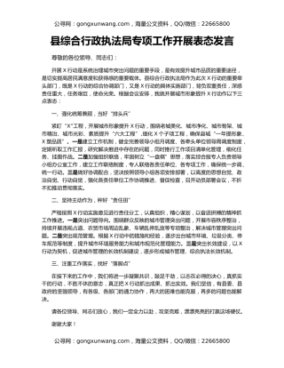 县综合行政执法局专项工作开展表态发言