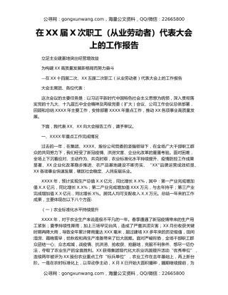 在XX届X次职工（从业劳动者）代表大会上的工作报告