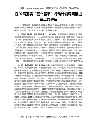 在X局落实“五个强审”行动计划调研推进会上的讲话