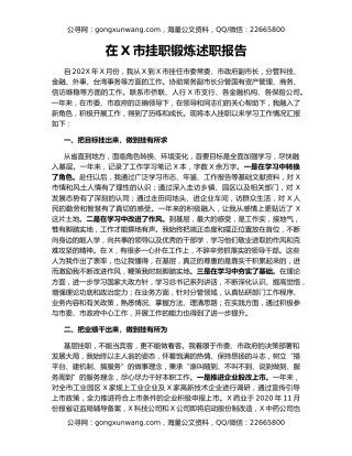 在X市挂职锻炼述职报告