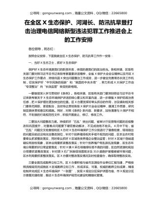 在全区X生态保护、河湖长、防汛抗旱暨打击治理电信网络新型违法犯罪工作推进会上的工作安排